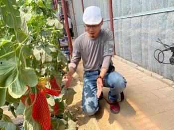 网红吃瓜打卡地